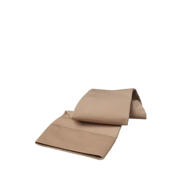 agave megalacantha kaufen Buntblättrige Amerikanische Agave (Agave americana „Marginata“)